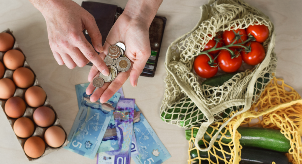 Lower income households disproportionately affected by food insecurity